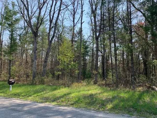 Baldwin, MI 49304,V/L S Merrilleville Road