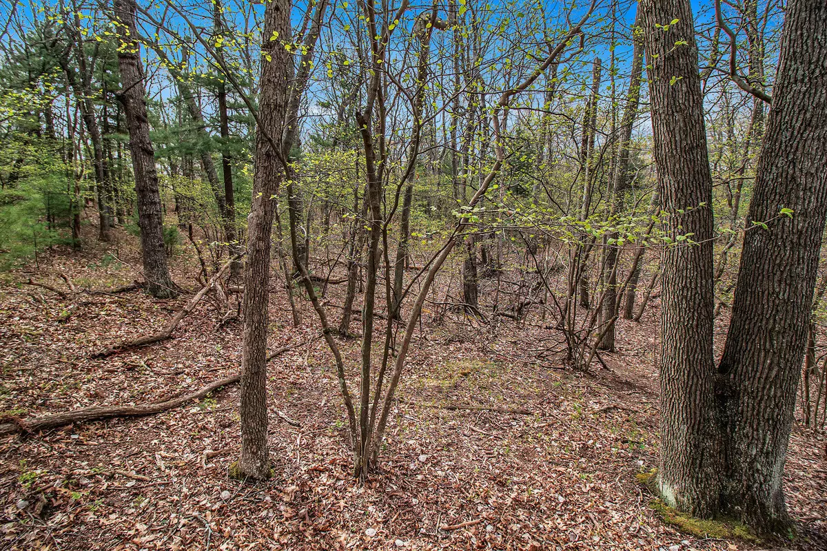 Mears, MI 49436,N Silver Ridge Road