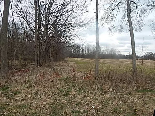 Burlington, MI 49029,4600 11 Mile Road