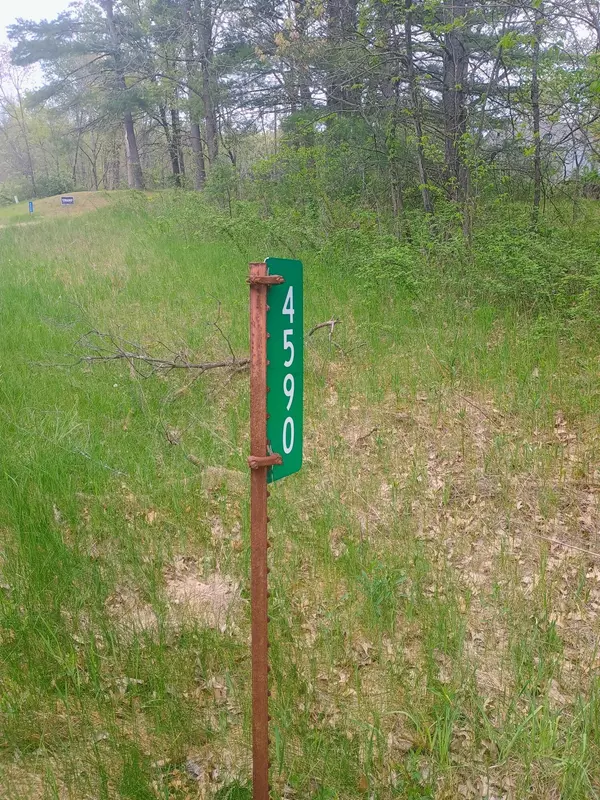 Newaygo, MI 49337,4590 Oak Avenue