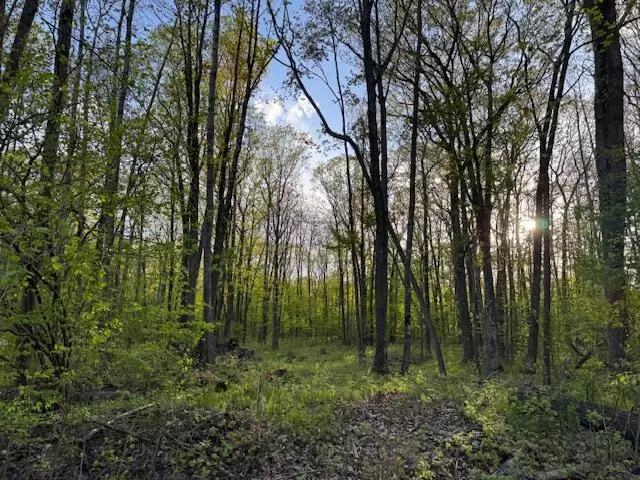 Reed City, MI 49677,V/L Lot 187 Alps Drive