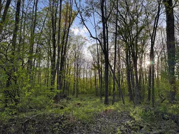 V/L Lot 187 Alps Drive, Reed City, MI 49677