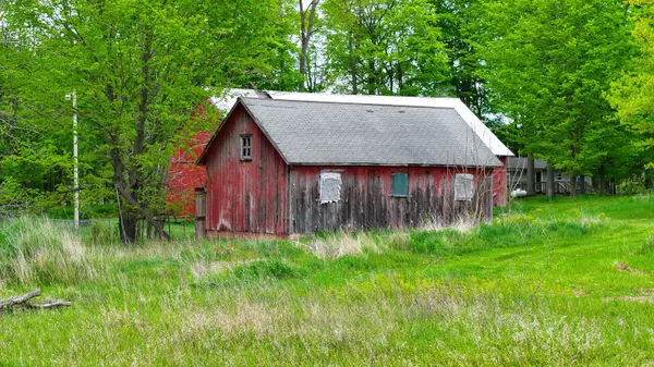 Reed City, MI 49677,17793 7 Mile Road