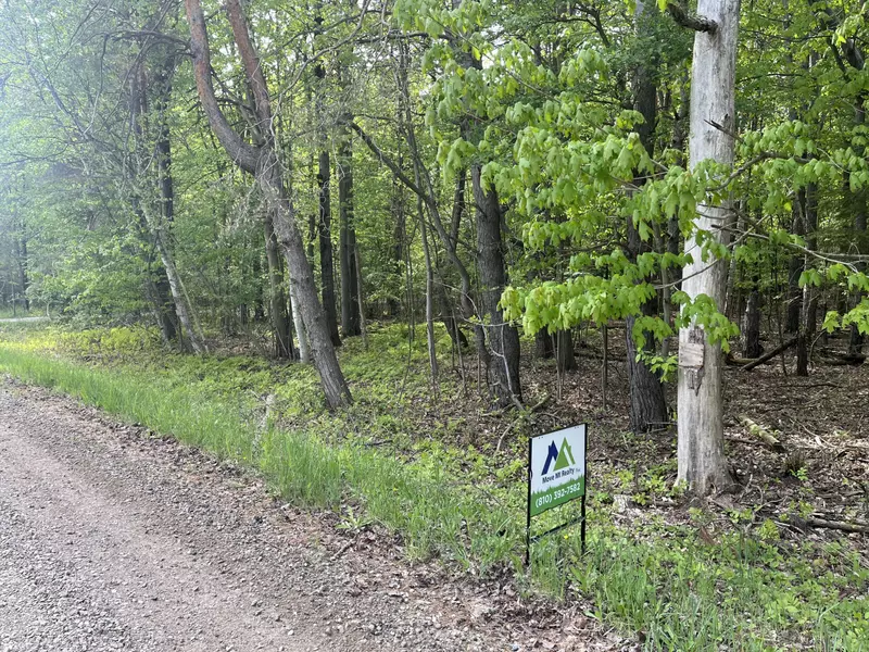 Mortimer Line Road, Croswell, MI 48422