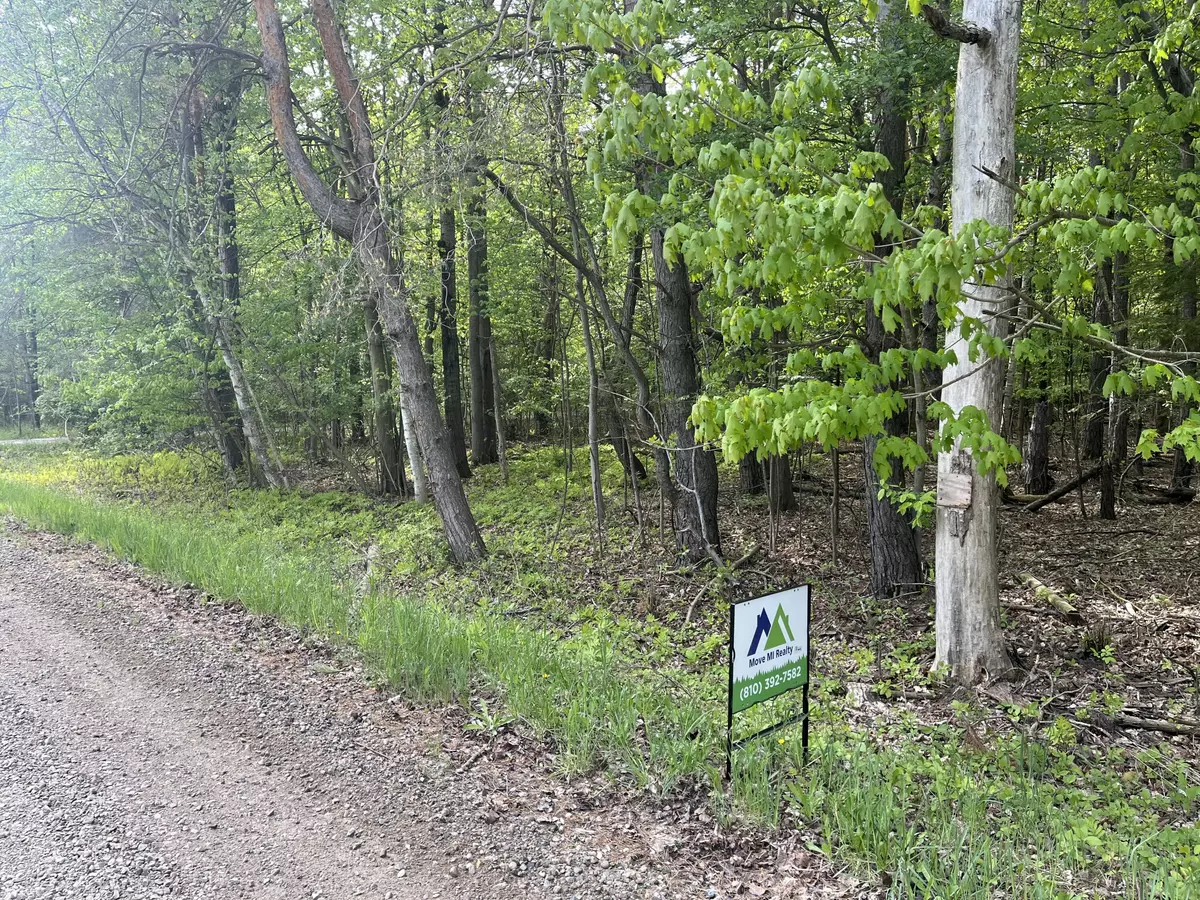 Croswell, MI 48422,Mortimer Line Road