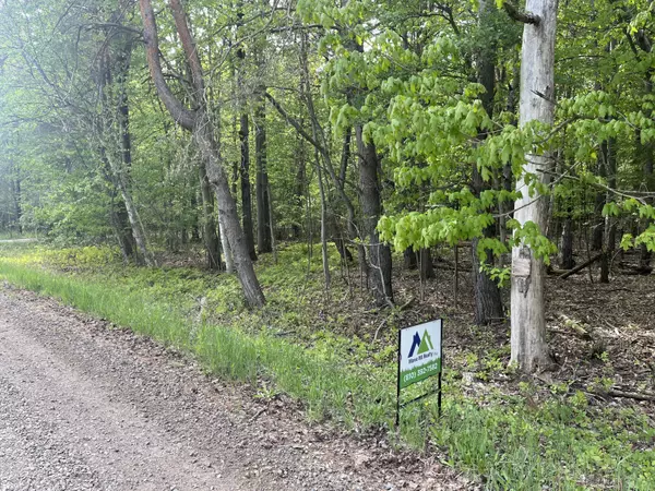 Croswell, MI 48422,Mortimer Line Road