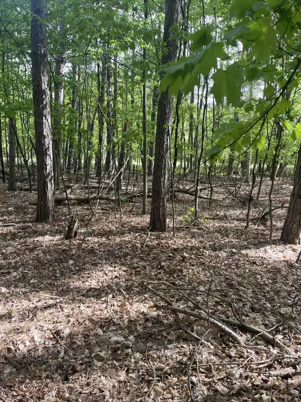 Croswell, MI 48422,Mortimer Line Road