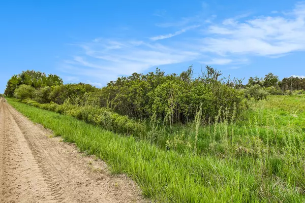 Custer, MI 49405,Reek RD - 29.77 Acres V/L