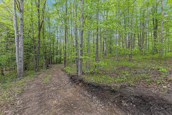 Luther, MI 49656,V/L E 8 Mile Rd