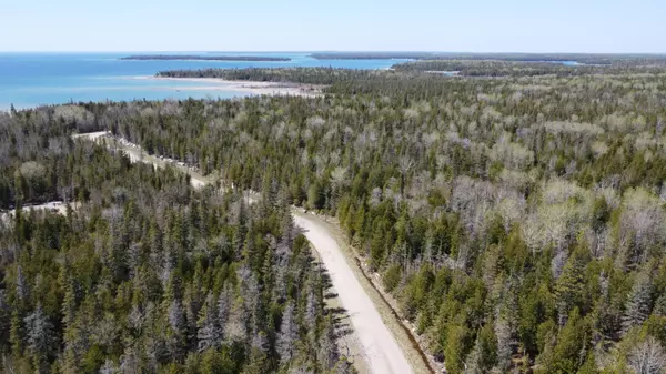 Drummond Island, MI 49726,V/L 118A S Cream City Point Road