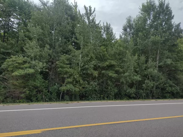 0000 Blue Star Highway, Fennville, MI 49408
