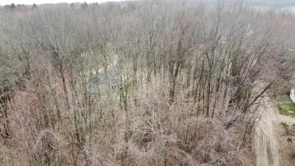 Coloma, MI 49038,VL Harding Street