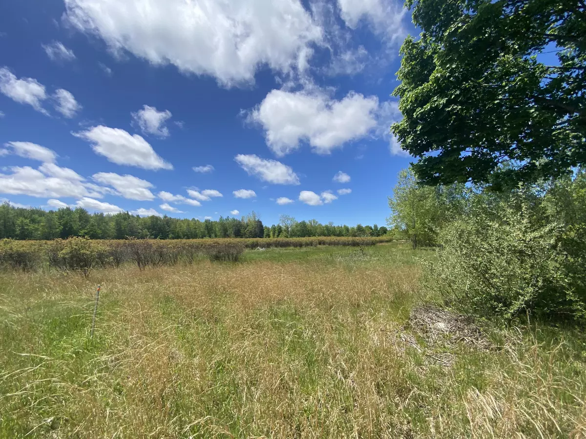 Grand Junction, MI 49056,62nd Street