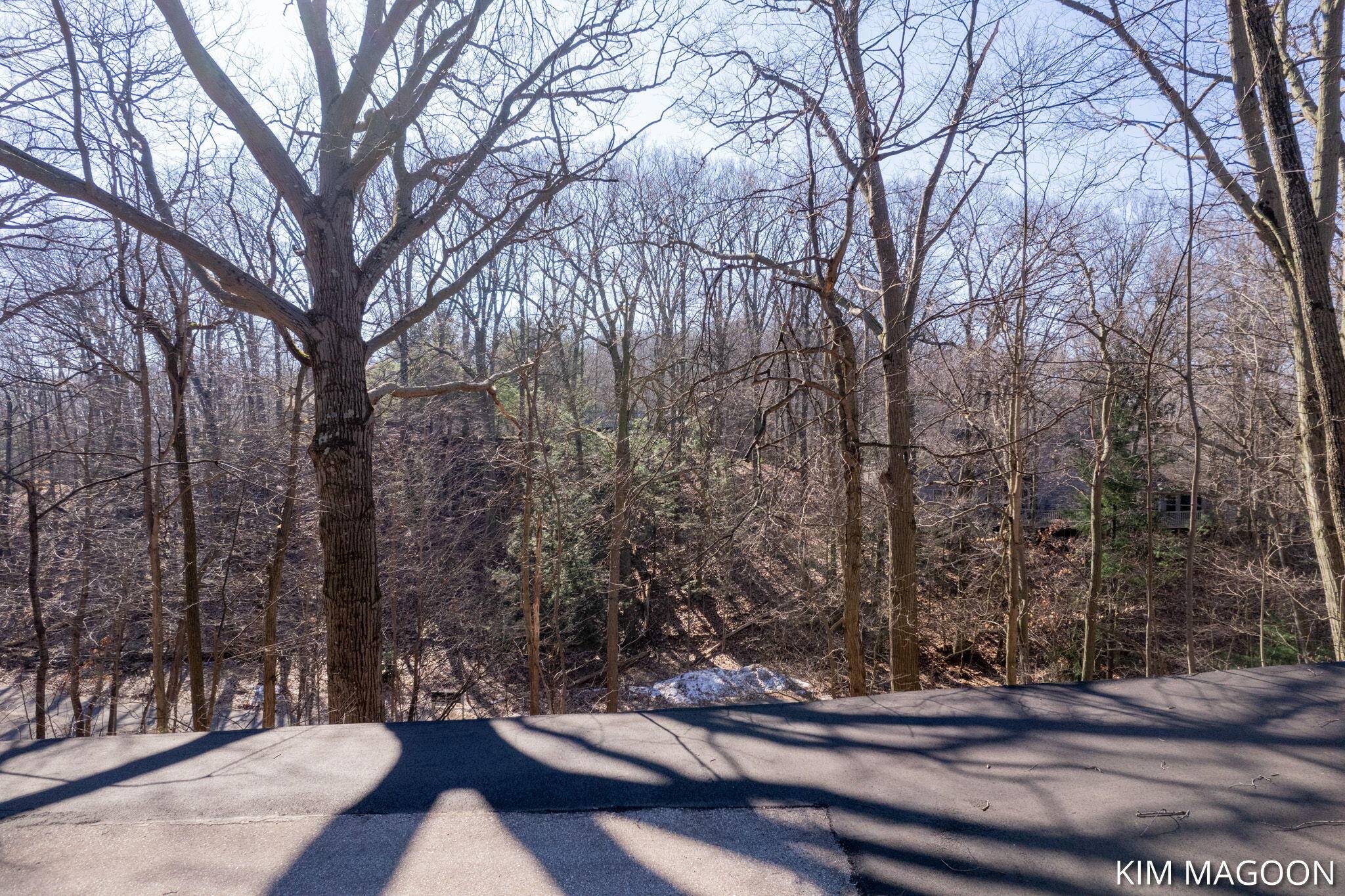 Holland, MI 49423,Lot 45 Valleywood Court