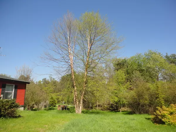 Pullman, MI 49450,5925 113th Avenue