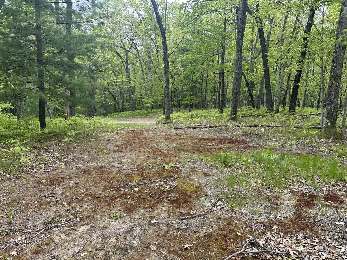 Baldwin, MI 49304,9846 W Oxpath