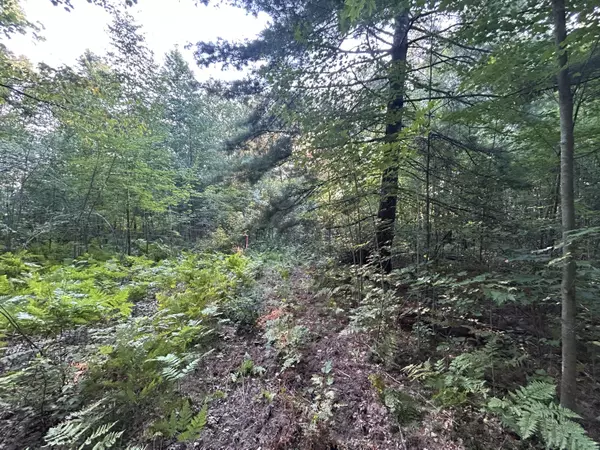 Pierson, MI 49339,22903 Waterwheel Drive