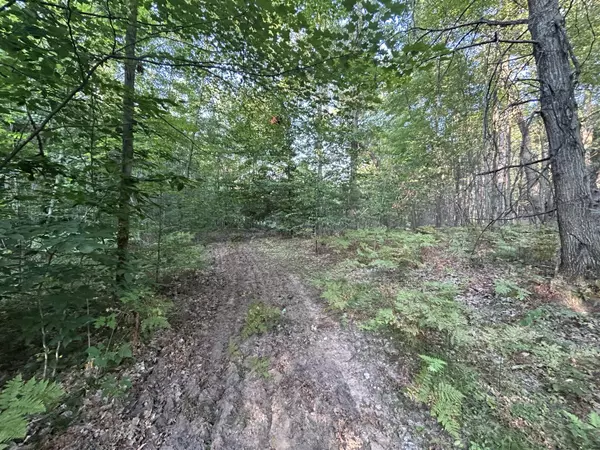 Pierson, MI 49339,22903 Waterwheel Drive