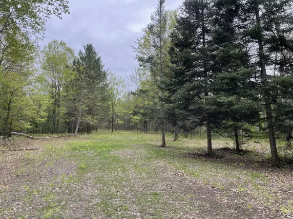 Gladwin, MI 48624,Boman Road