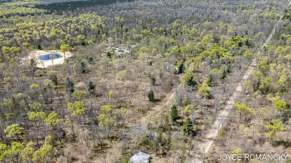 Baldwin, MI 49304,VL S Peacock Trail