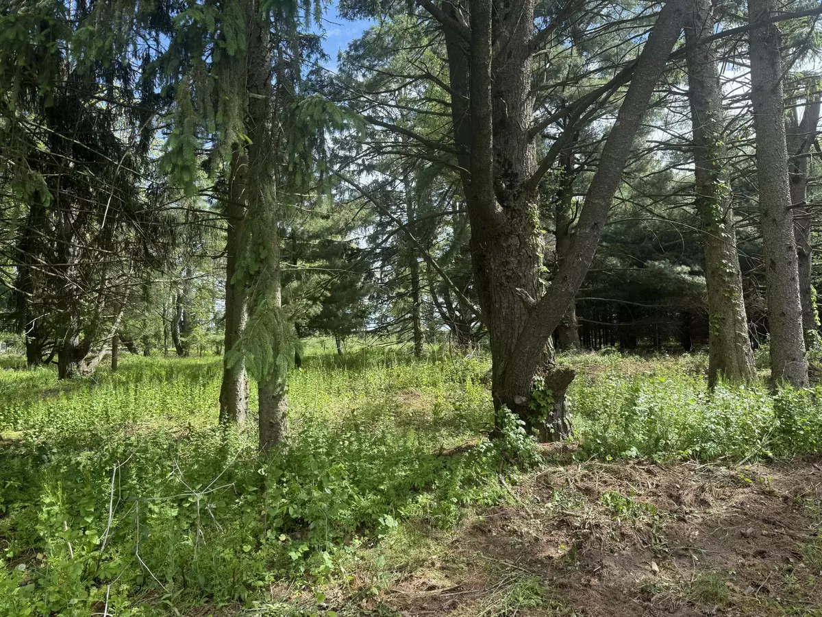 Vicksburg, MI 49097,VL - LOT A Rawson Lane