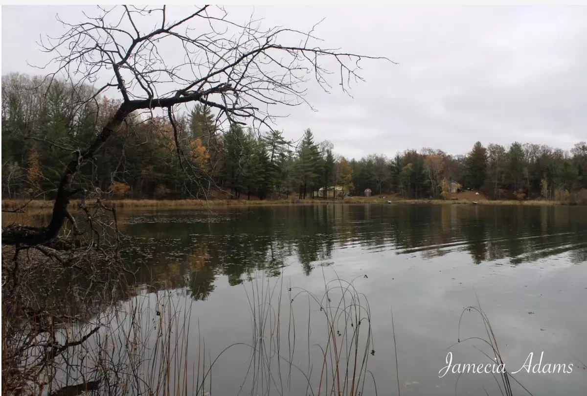 Idlewild, MI 49642,01 S Paris
