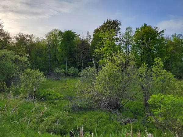Hart, MI 49420,1052 E Clock Road