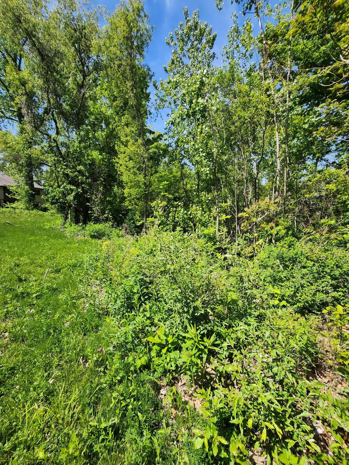 New Buffalo, MI 49117