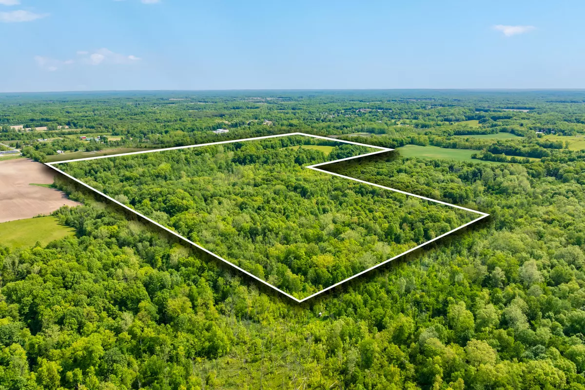 Bloomingdale, MI 49026,44th Street