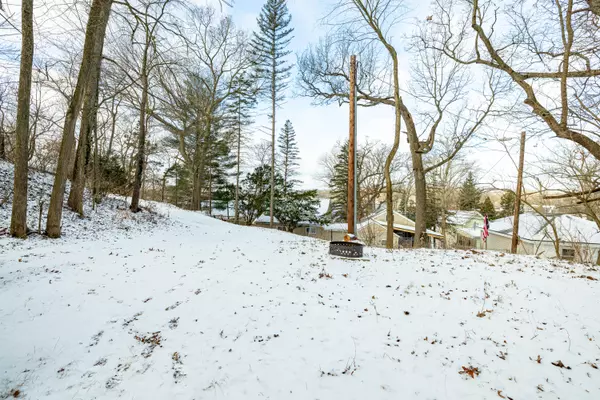 Pinckney, MI 48169,11133 Hillside