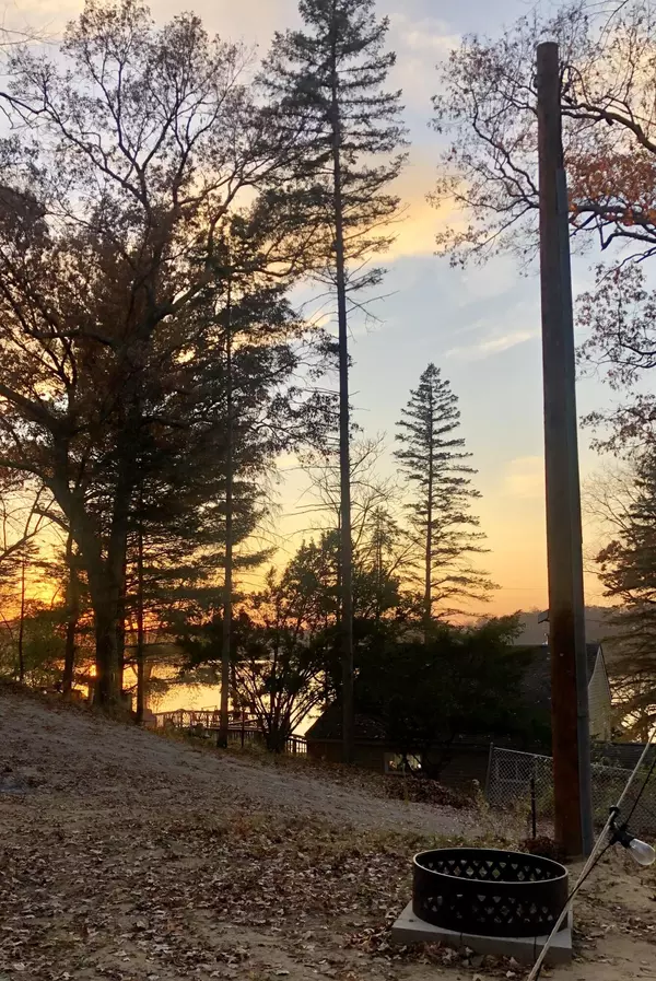 Pinckney, MI 48169,11133 Hillside