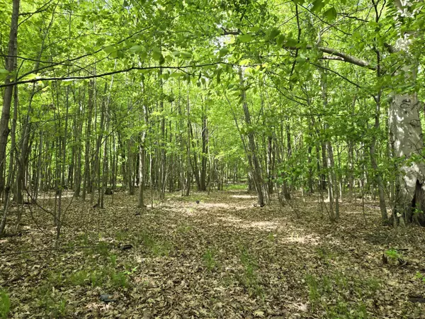 Greenville, MI 48838,4500 W Wise Road