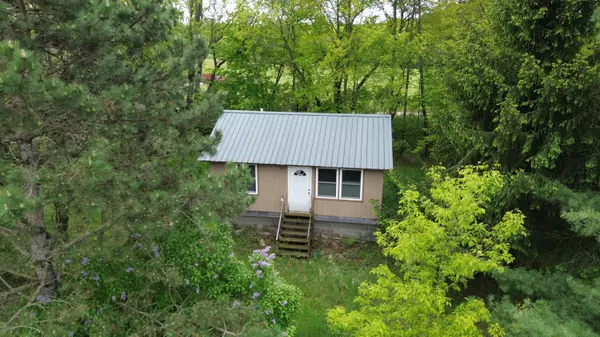 10200 N Backus Road, Lakeview, MI 48850