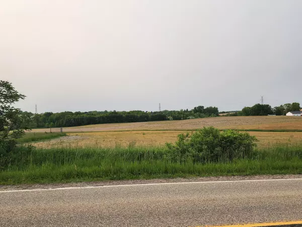 Dorr, MI 49323,Parcel 4 146th Avenue