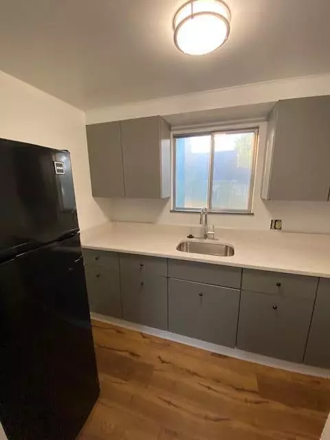 Ann Arbor, MI 48103,220 W Mosley Street