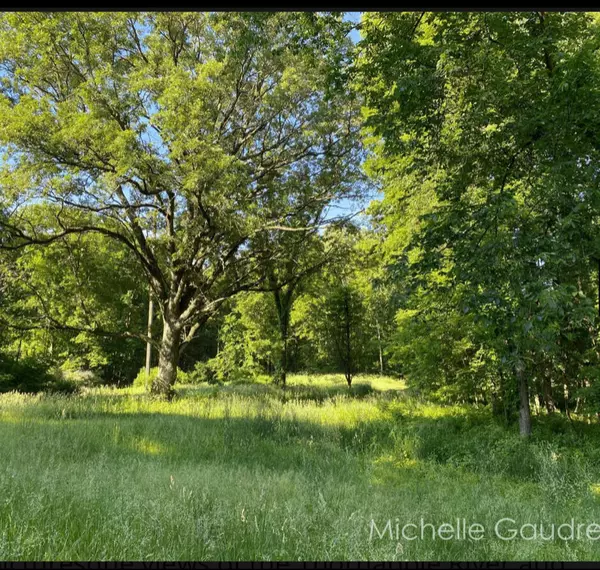 Hastings, MI 49058,Benzel Court #Parcel 1