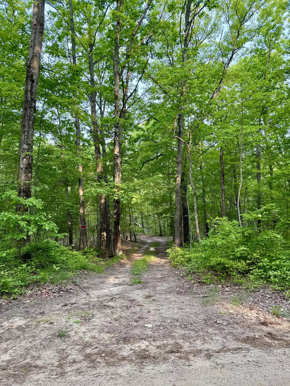 Grand Junction, MI 49056,V/L 50th Street