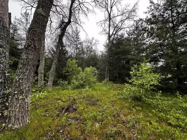 Irons, MI 49644,00 E 10 Mile Road