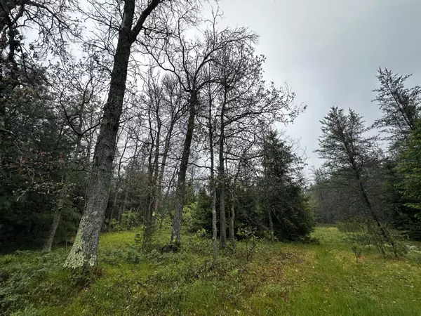 Irons, MI 49644,00 E 10 Mile Road