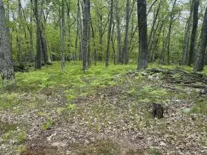 Baldwin, MI 49304,9846 W Ox Path Street