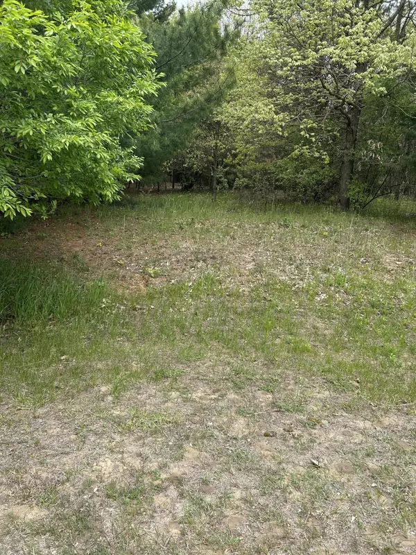 Mears, MI 49436,7904 W Duck Road