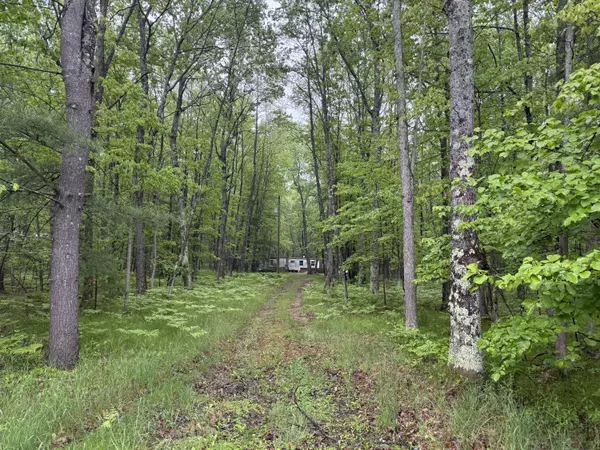 8073 W 10 1/2 Mile Road, Irons, MI 49644