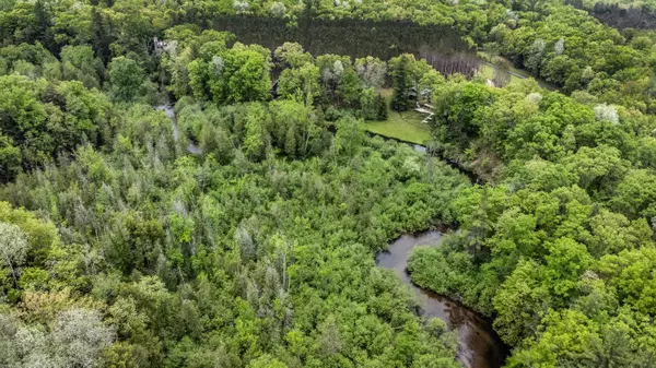 Irons, MI 49644,V/L East Pomeroy Springs Rd