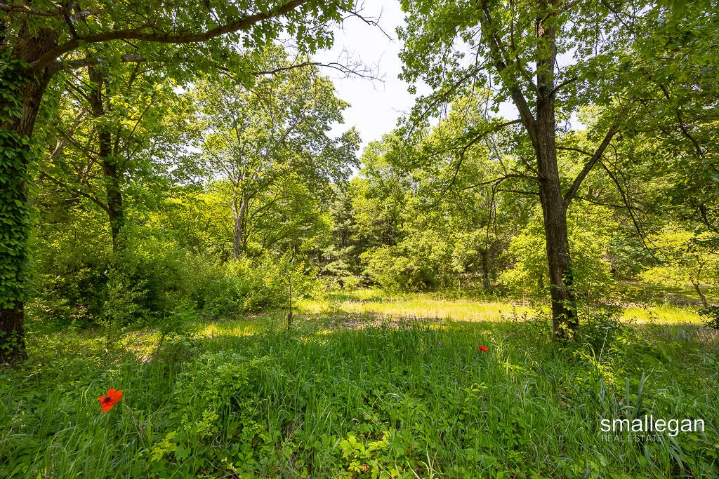 Greenville, MI 48838,13390 STACEY NE Street
