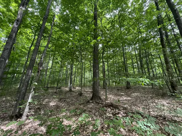 Manton, MI 49663,6288 E 22 1/2 Road