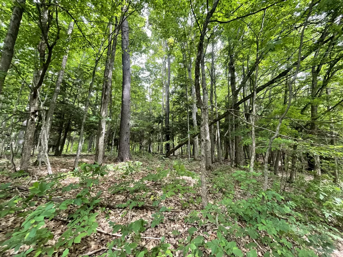 Manton, MI 49663,6288 E 22 1/2 Road