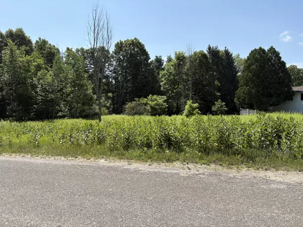 Big Rapids, MI 49307,20535 Edgewood Drive