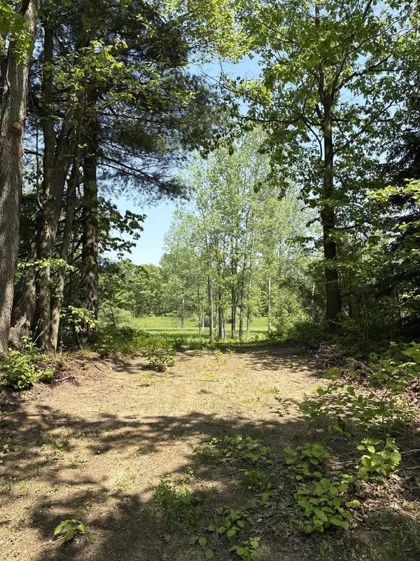 Morley, MI 49336,V/L 200th Avenue