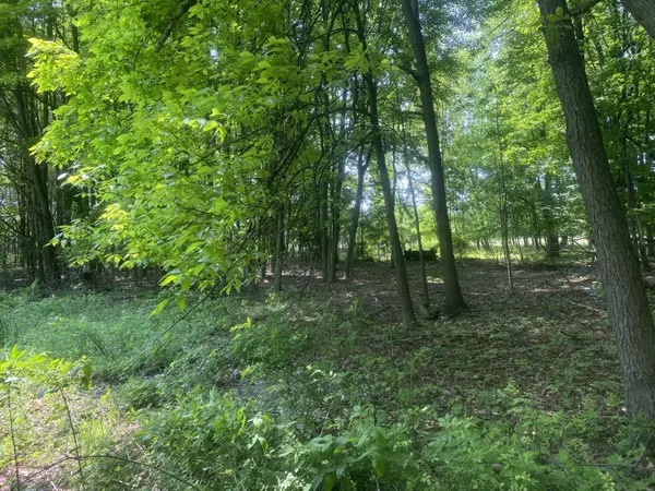 Cedar Springs, MI 49319,7030 14 Mile NE Road