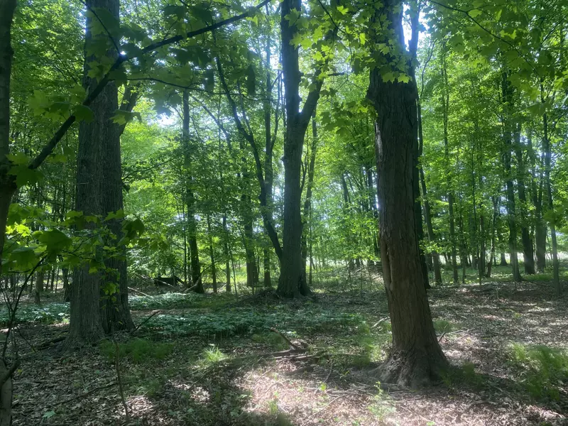 7030 14 Mile NE Road, Cedar Springs, MI 49319